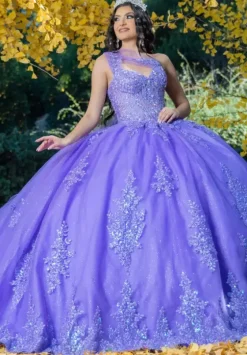 Plus Sized Quince Dresses|Sweet Sixteen^LizLuo Quinceanera 26091