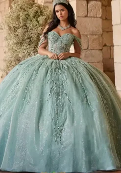 Plus Sized Quince Dresses^LizLuo Quinceanera 56550