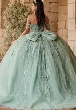 Plus Sized Quince Dresses^LizLuo Quinceanera 56550