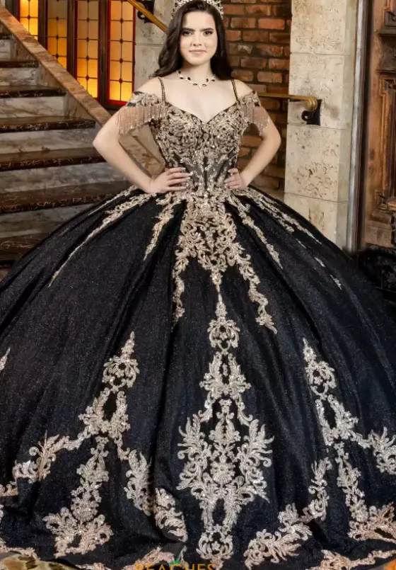 Plus Sized Quince Dresses|Sweet Sixteen^LizLuo Quinceanera 80041