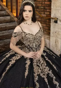 Plus Sized Quince Dresses|Sweet Sixteen^LizLuo Quinceanera 80041