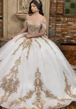 Plus Sized Quince Dresses|Sweet Sixteen^LizLuo Quinceanera 80041