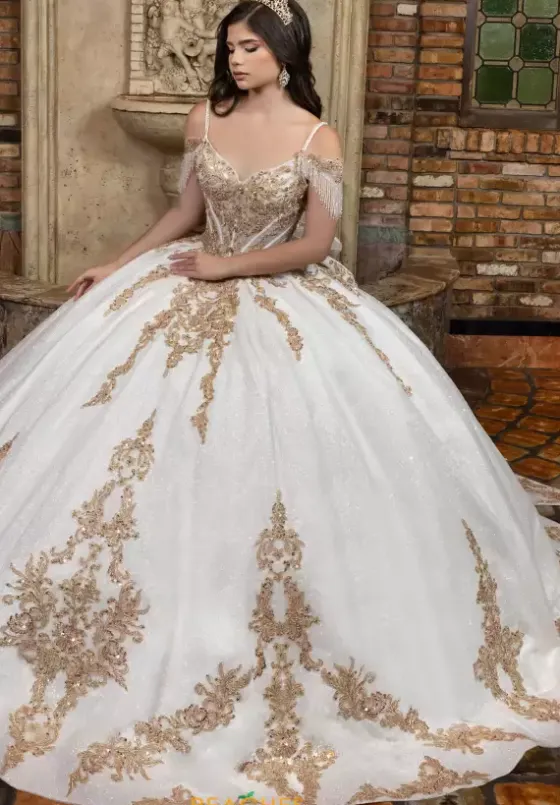Plus Sized Quince Dresses|Sweet Sixteen^LizLuo Quinceanera 80041