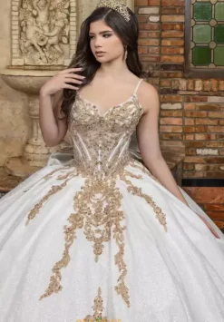 Plus Sized Quince Dresses|Sweet Sixteen^LizLuo Quinceanera 80041