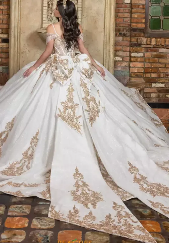 Plus Sized Quince Dresses|Sweet Sixteen^LizLuo Quinceanera 80041