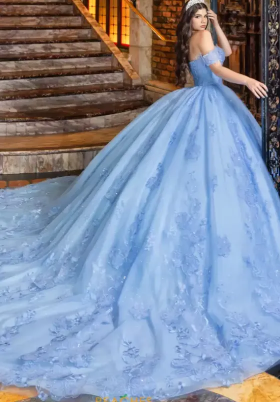 Plus Sized Quince Dresses|Sweet Sixteen^LizLuo Quinceanera 80033