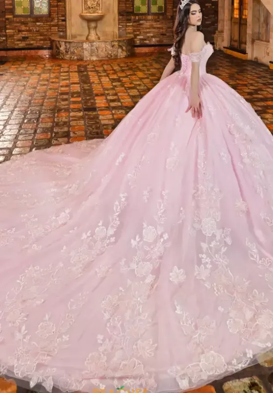 Plus Sized Quince Dresses|Sweet Sixteen^LizLuo Quinceanera 80033