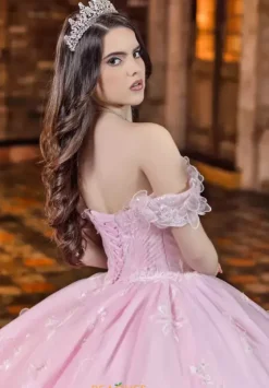 Plus Sized Quince Dresses|Sweet Sixteen^LizLuo Quinceanera 80033