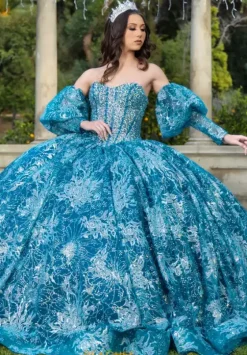 Quince Dresses With Sleeves|Plus Sized Quince Dresses^LizLuo Quinceanera 26084