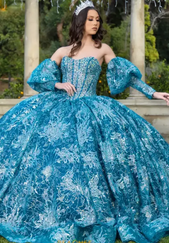 Quince Dresses With Sleeves|Plus Sized Quince Dresses^LizLuo Quinceanera 26084