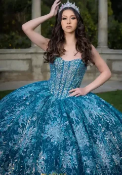 Quince Dresses With Sleeves|Plus Sized Quince Dresses^LizLuo Quinceanera 26084