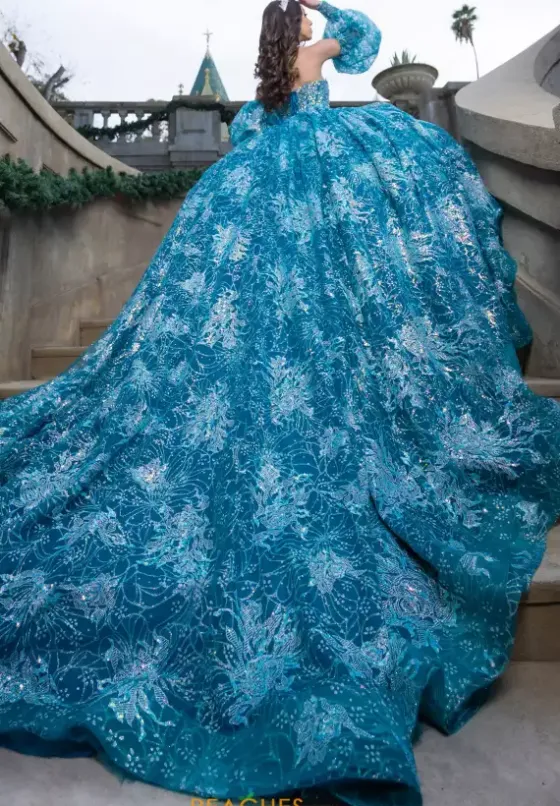 Quince Dresses With Sleeves|Plus Sized Quince Dresses^LizLuo Quinceanera 26084