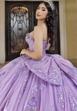 Plus Sized Quince Dresses|Sweet Sixteen^LizLuo Quinceanera 26101