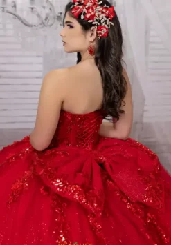 Plus Sized Quince Dresses|Sweet Sixteen^LizLuo Quinceanera 26101