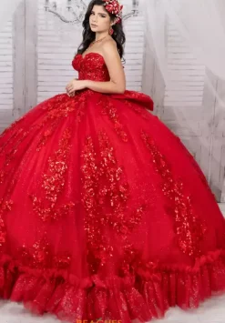 Plus Sized Quince Dresses|Sweet Sixteen^LizLuo Quinceanera 26101