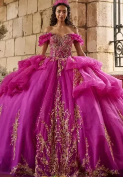 Plus Sized Quince Dresses^LizLuo Quinceanera 80055