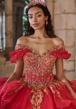 Plus Sized Quince Dresses^LizLuo Quinceanera 80055