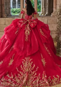 Plus Sized Quince Dresses^LizLuo Quinceanera 80055