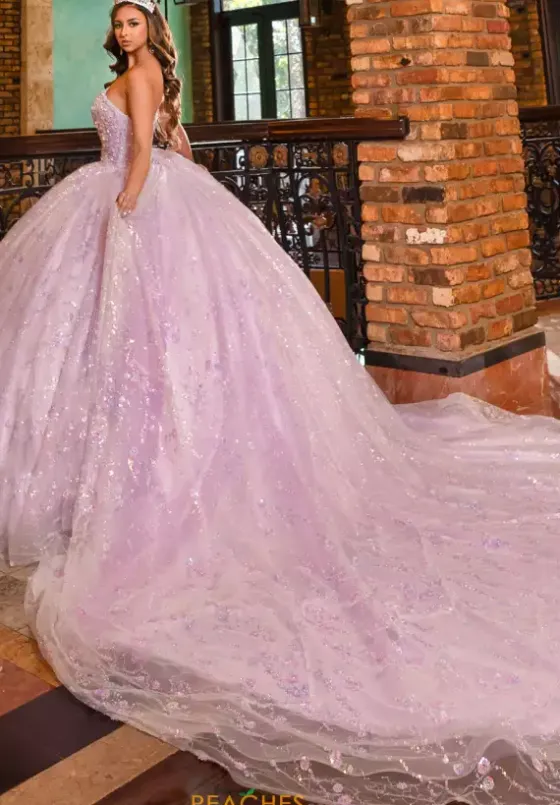 Plus Sized Quince Dresses|Sweet Sixteen^LizLuo Quinceanera 80026