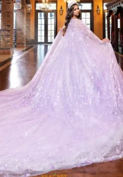 Plus Sized Quince Dresses|Sweet Sixteen^LizLuo Quinceanera 80026