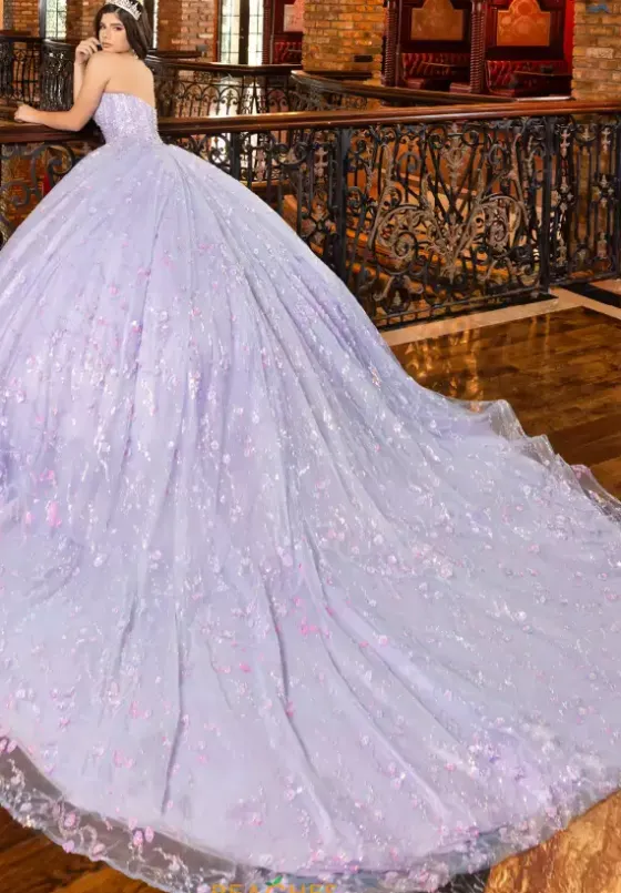 Plus Sized Quince Dresses|Sweet Sixteen^LizLuo Quinceanera 80026