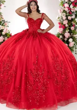 Plus Sized Quince Dresses^LizLuo Quinceanera 26130