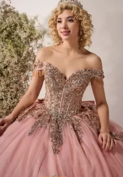 Plus Sized Quince Dresses^LizLuo Quinceanera 26122
