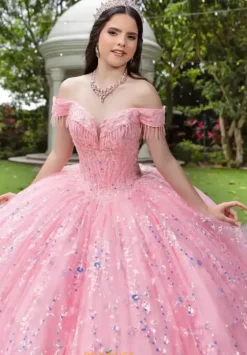 Plus Sized Quince Dresses|Sweet Sixteen^LizLuo Quinceanera 56536
