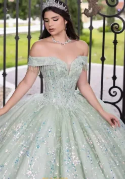 Plus Sized Quince Dresses|Sweet Sixteen^LizLuo Quinceanera 56536