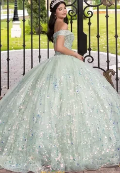 Plus Sized Quince Dresses|Sweet Sixteen^LizLuo Quinceanera 56536