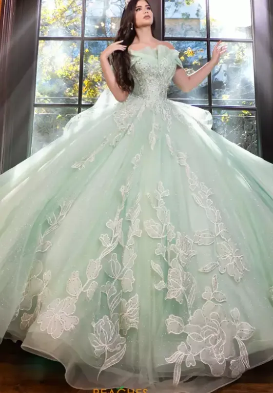 Plus Sized Quince Dresses|Sweet Sixteen^LizLuo Quinceanera 80027