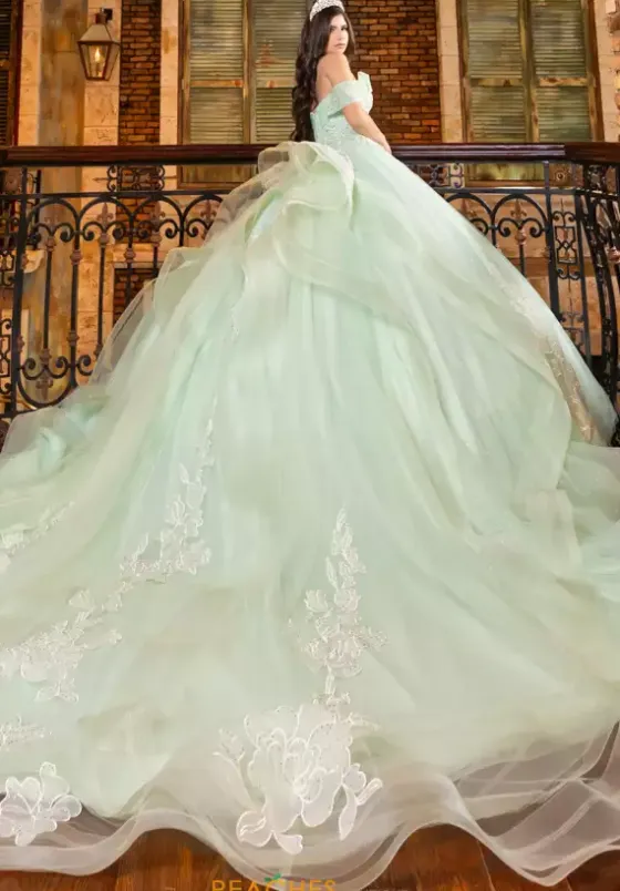 Plus Sized Quince Dresses|Sweet Sixteen^LizLuo Quinceanera 80027