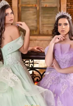 Plus Sized Quince Dresses|Sweet Sixteen^LizLuo Quinceanera 80027