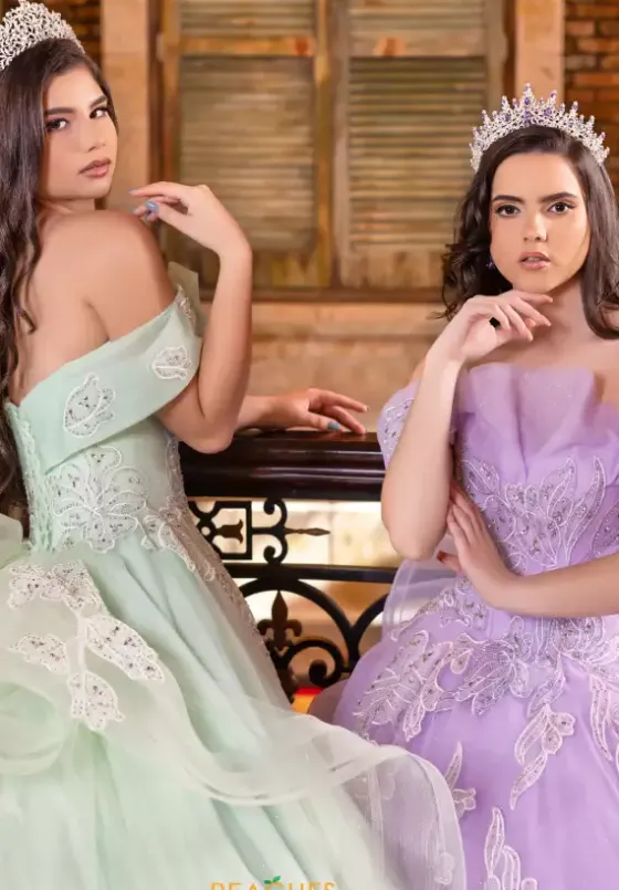Plus Sized Quince Dresses|Sweet Sixteen^LizLuo Quinceanera 80027