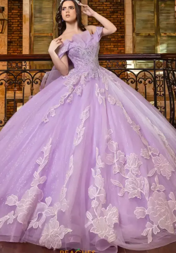 Plus Sized Quince Dresses|Sweet Sixteen^LizLuo Quinceanera 80027