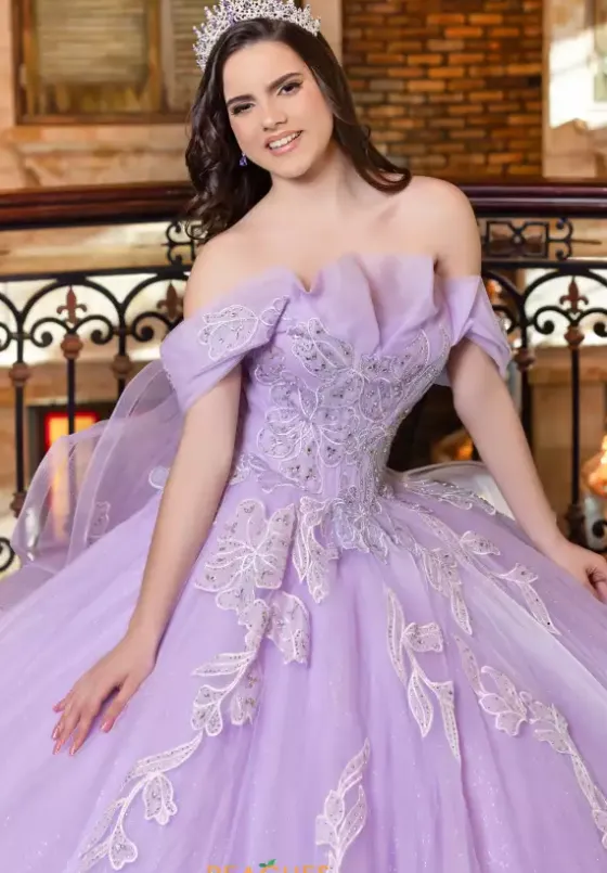 Plus Sized Quince Dresses|Sweet Sixteen^LizLuo Quinceanera 80027