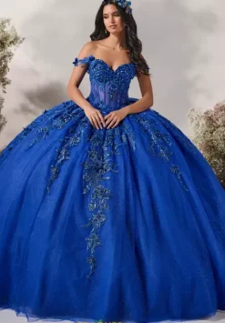 Plus Sized Quince Dresses^LizLuo Quinceanera 56542