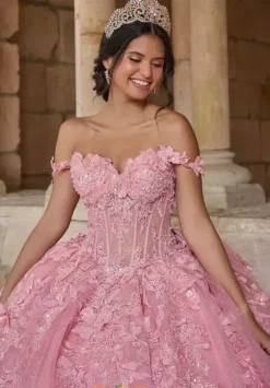 Plus Sized Quince Dresses^LizLuo Quinceanera 56542