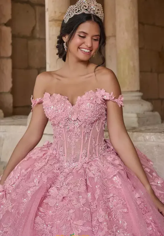 Plus Sized Quince Dresses^LizLuo Quinceanera 56542