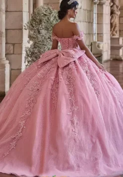 Plus Sized Quince Dresses^LizLuo Quinceanera 56542