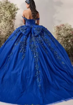 Plus Sized Quince Dresses^LizLuo Quinceanera 56542