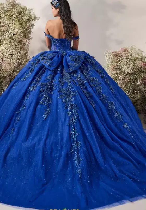 Plus Sized Quince Dresses^LizLuo Quinceanera 56542