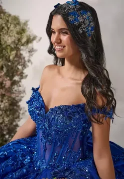 Plus Sized Quince Dresses^LizLuo Quinceanera 56542