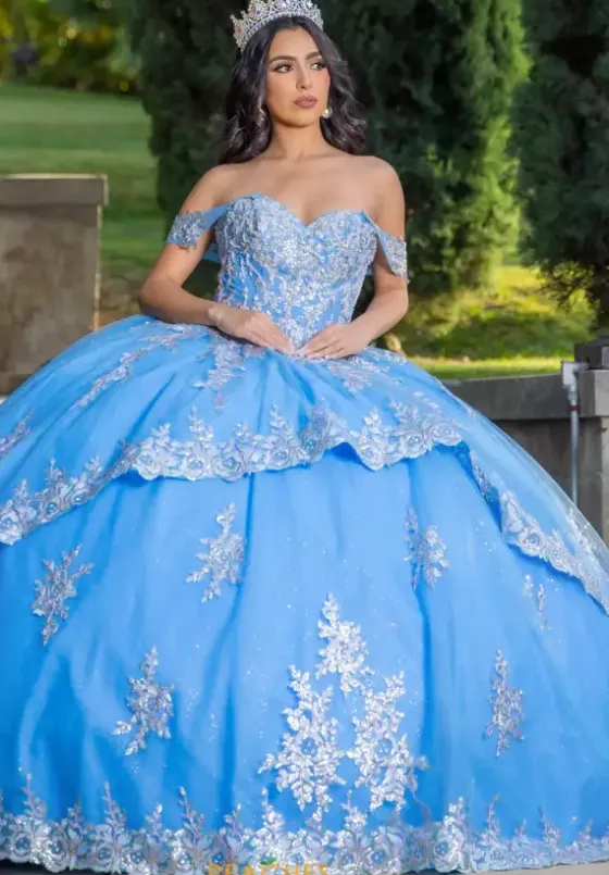 Plus Sized Quince Dresses|Sweet Sixteen^LizLuo Quinceanera 26090
