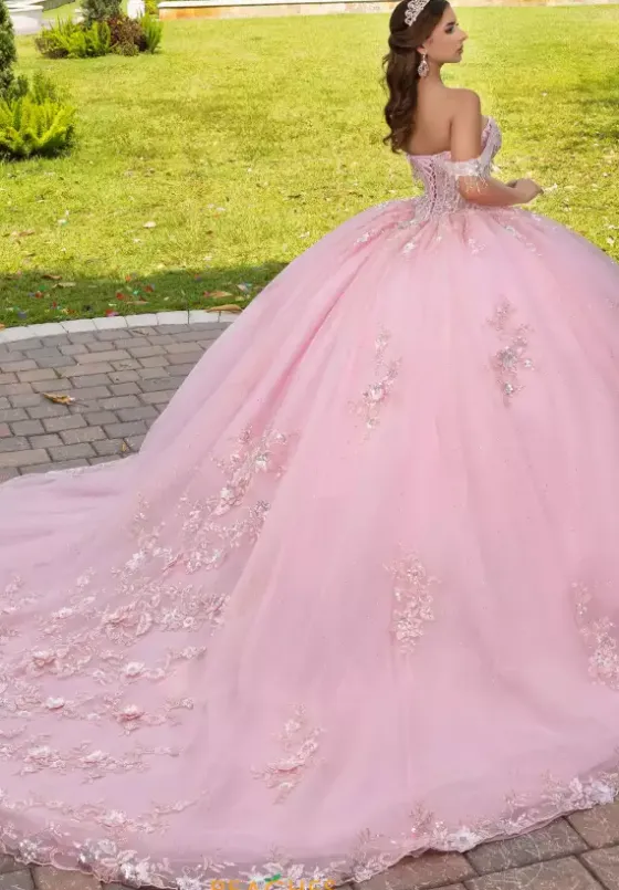 Plus Sized Quince Dresses|Sweet Sixteen^LizLuo Quinceanera 56526