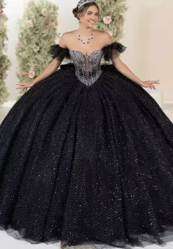 Plus Sized Quince Dresses^LizLuo Quinceanera 56558