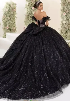 Plus Sized Quince Dresses^LizLuo Quinceanera 56558