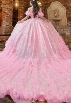 Plus Sized Quince Dresses|Sweet Sixteen^LizLuo Quinceanera 80020