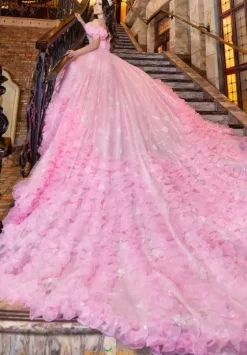 Plus Sized Quince Dresses|Sweet Sixteen^LizLuo Quinceanera 80020