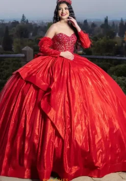 Quince Dresses With Sleeves|Plus Sized Quince Dresses^LizLuo Quinceanera 26097